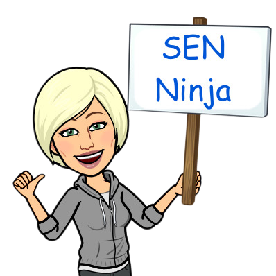 SEN Ninja – An advocate for children with SEN and their educational rights